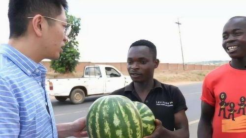 兰州吃瓜爆料黑料视频,揭秘视频中的惊人黑料