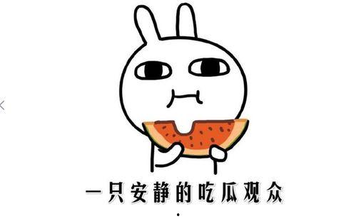 网爆黑料吃瓜资源